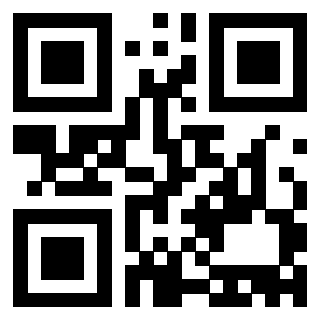 3913484333 QrCode associato