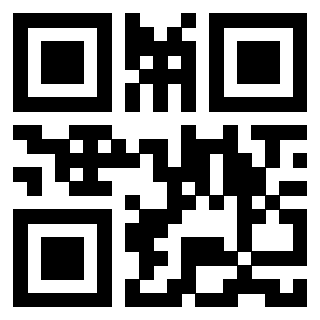 Il Qr Code di 3913484348