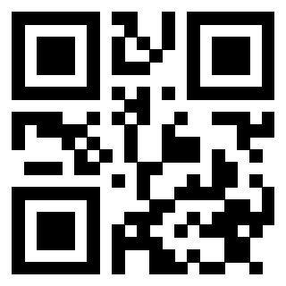 Il Qr Code di 3913484354