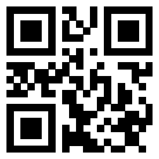 Il Qr Code di 3913484388