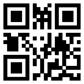 Il Qr Code di 3913484409
