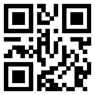 3913500304 QrCode associato