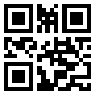 3913500306 Qr Code associato