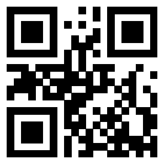 Il Qr Code di 3913500329