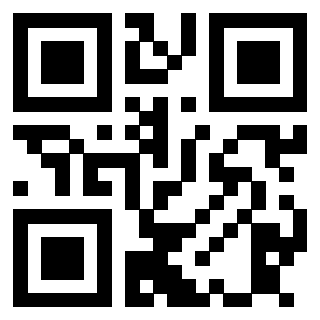 3913501060 Qr Code associato