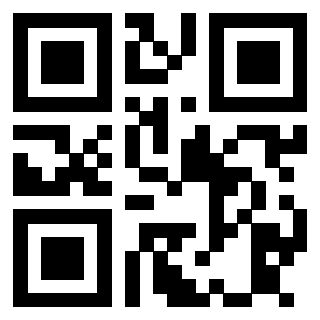 3913501107 QrCode associato
