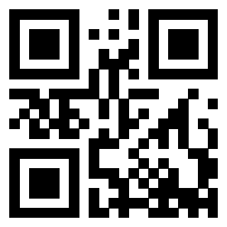 Il Qr Code di 3913537464