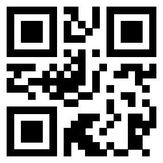 Il Qr Code di 3913537686