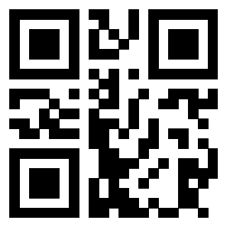 Il Qr Code di 3913537698