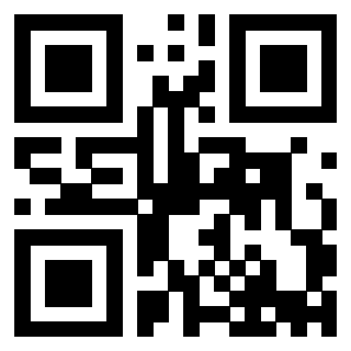 Il Qr Code di 3913537846