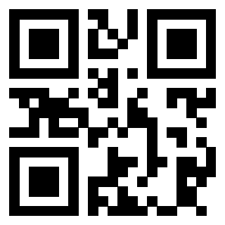 Il Qr Code di 3913537987