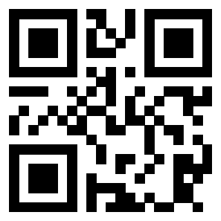 Il Qr Code di 3913538016