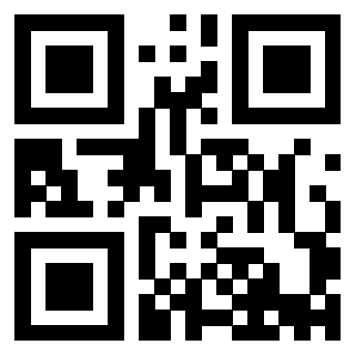 Il Qr Code di 3913538055