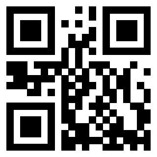 Il Qr Code di 3913538062
