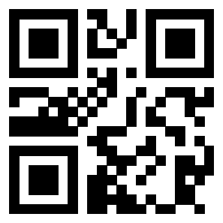 Il Qr Code di 3913538064