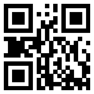 Il Qr Code di 3913538076
