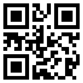 Il Qr Code di 3913538089
