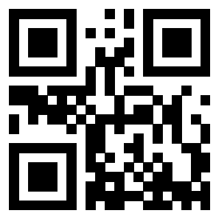 Il Qr Code di 3913538106