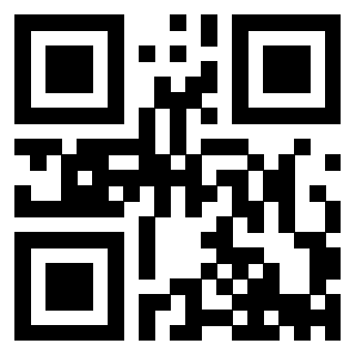 Il Qr Code di 3913538117