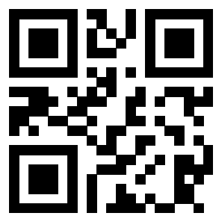 Il Qr Code di 3913538138