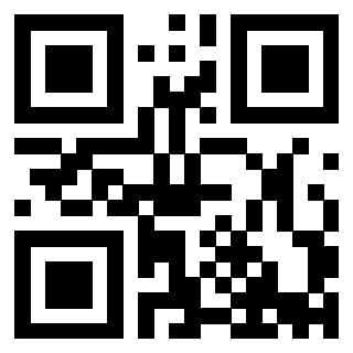Il Qr Code di 3913538141