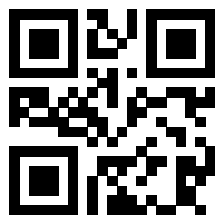 Il Qr Code di 3913538201