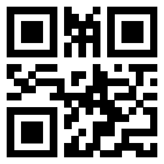 Il Qr Code di 3913538217