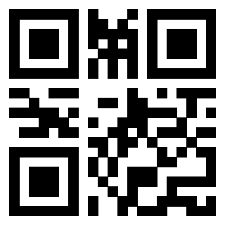 Il Qr Code di 3913538218