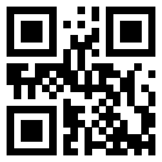 3913538221 QrCode associato