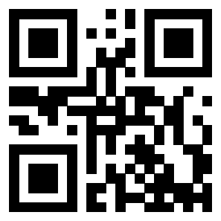 Il Qr Code di 3913538233