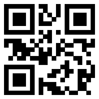 Il Qr Code di 3913538245