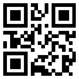 3913538251 QrCode associato