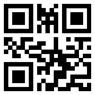 Il Qr Code di 3913538287