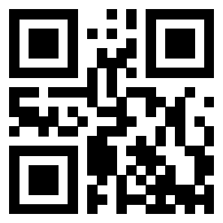Il Qr Code di 3913538293
