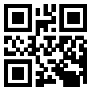 Il Qr Code di 3913538294