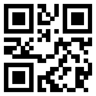 3913538299 QrCode associato