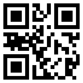 Il Qr Code di 3913538302