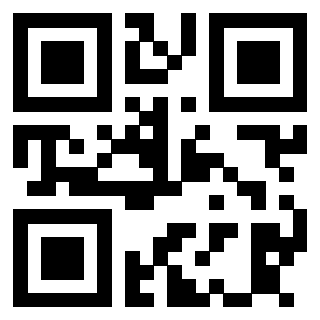 QrCode di 3913538313