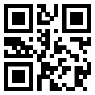 Il Qr Code di 3913538319
