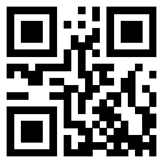Il Qr Code di 3913538333