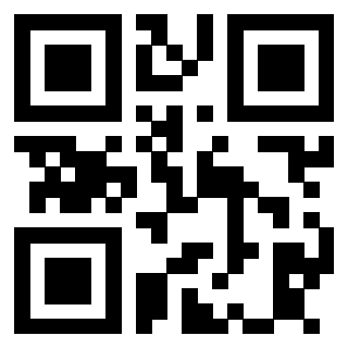 Il Qr Code di 3913538367
