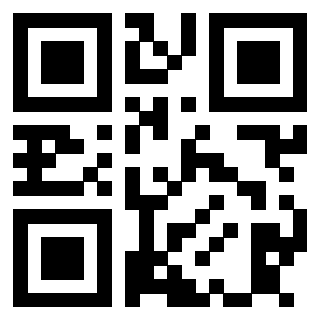 Il Qr Code di 3913538370