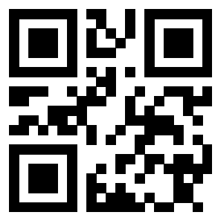 Il Qr Code di 3913632059