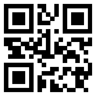 Il Qr Code di 3913632093