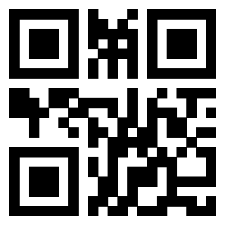 Il Qr Code di 3913632173