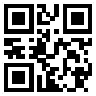 Il Qr Code di 3913632287