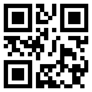 Il Qr Code di 3913632305