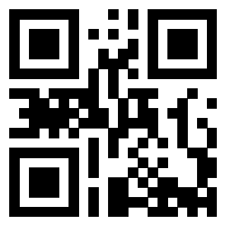 Il Qr Code di 3913632354