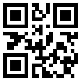 Il Qr Code di 3913632465