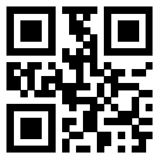 Il Qr Code di 3913632529